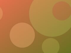 Lorem ipsum dolor sit amet consectetur adipiscing elit